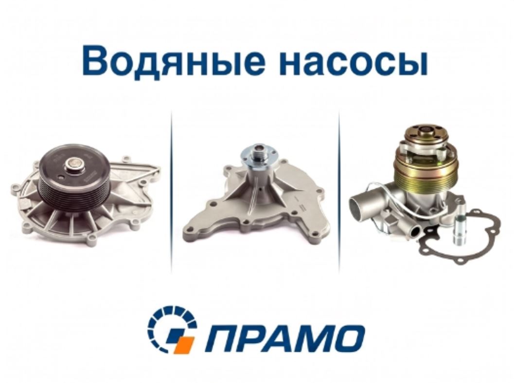 Слайд0